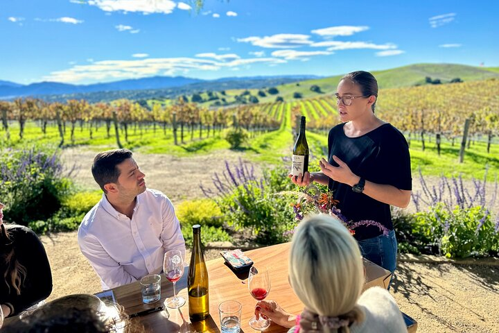 Private VIP Santa Barbara Wine Tour. Your Group. Your Day. (4-8) - Photo 1 of 25
